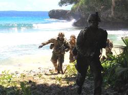 U.S. Army Pacific Soldiers with Black Watch Company conduct operations on the island of Anguar in the Republic of Palau.