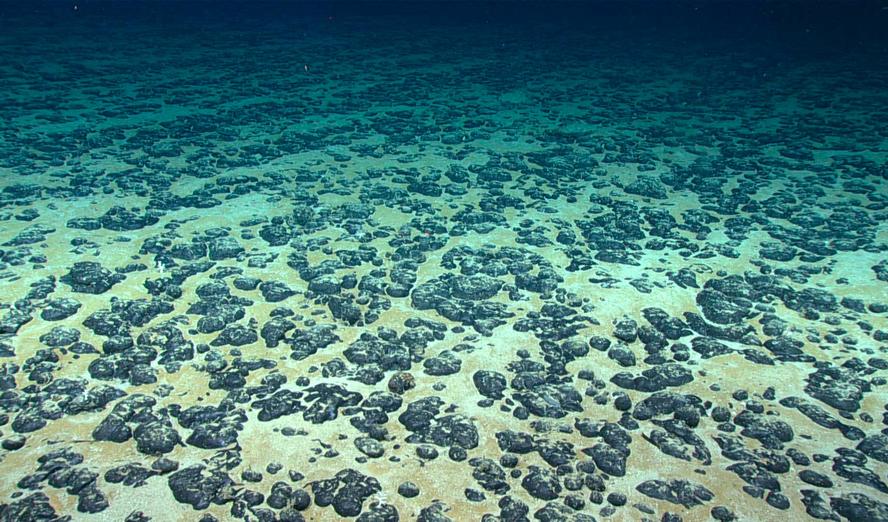 Manganese nodules on the floor of the Atlantic Ocean, May 27, 2020